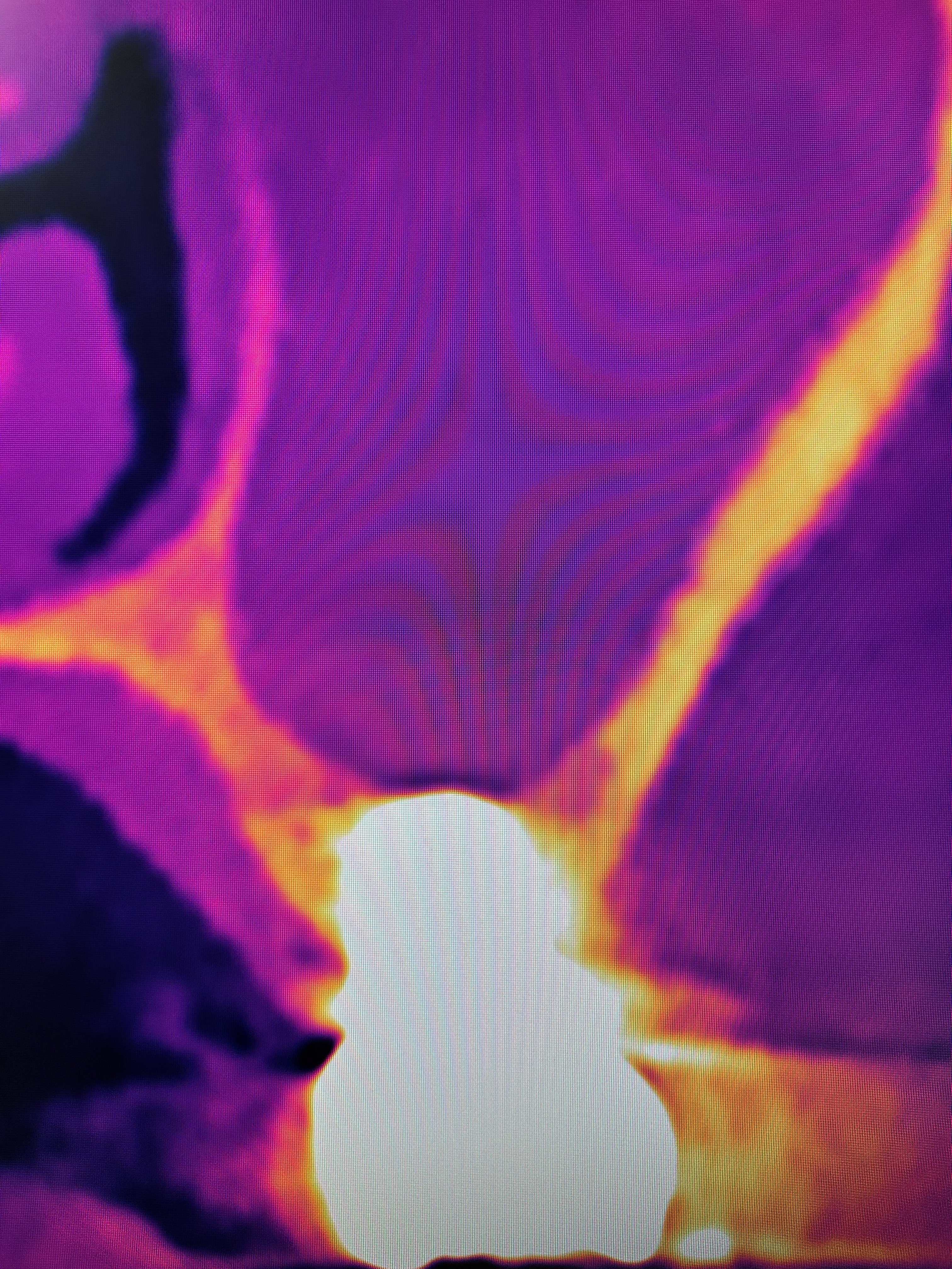 Extra-short implant with transantral elevation